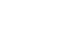 Stalker Online logo